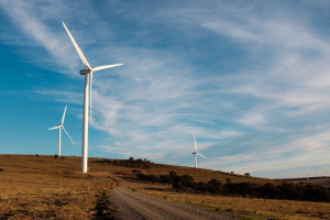 According To the Association, Wind Power Has a Big Future Potential in South Africa
