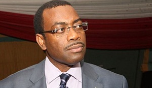 Adesina focuses on renewables to electrify Africa in 10 years