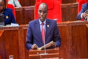 Tanzanian Government's Ambitious Plan to Boost Access to Electricity and Clean Cooking Energy